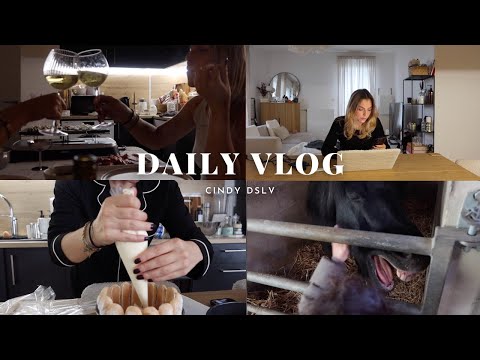 CE VLOG SENT L'AUTOMNE ! PONEY, PATISSERIE, RACLETTE ...