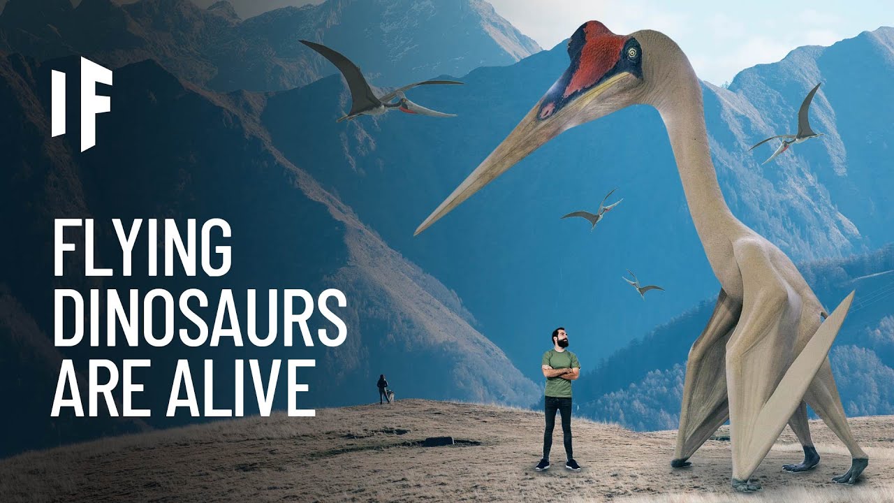 What If the Pterodactyl Was Still Alive?