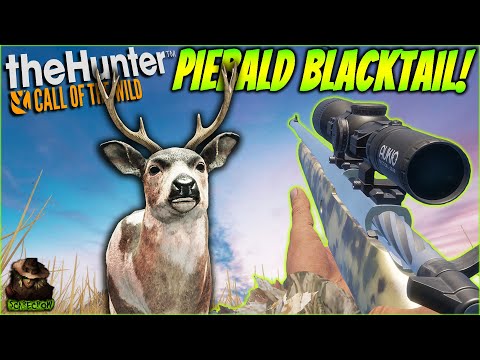 Hunting A Piebald Blacktail Deer On A Layton Lakes Hunt! Call of the wild