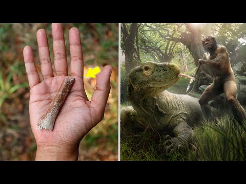 Hallan un Hueso de "Hobbit" de 100 cm de Estatura