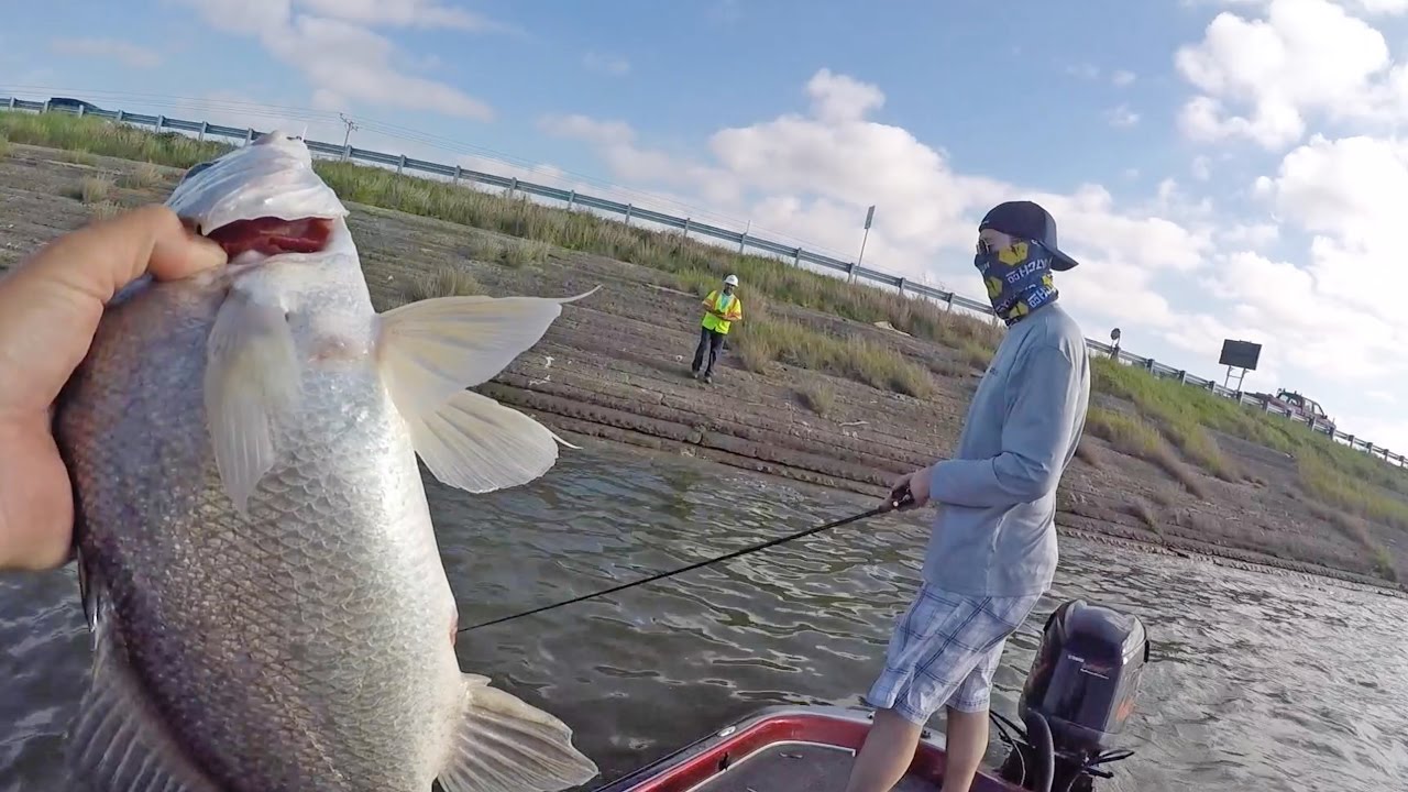 Giving a Man a Fish #56