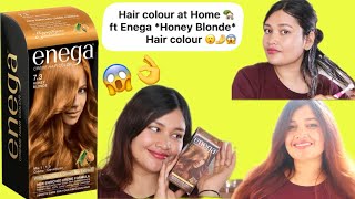 😱👌I used Enega *Honey Blonde* Hair Colour👩‍🦰😍| Amazing Results🥰🤌 #haircolorathome #newhaircolor