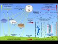 Global Energy and Radiation Budget