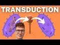 Bacterial Recombination and Transduction