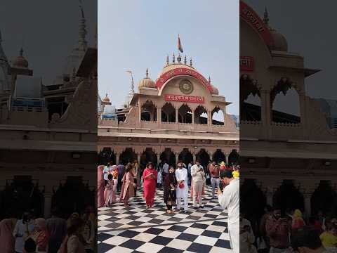 Barsana mandir mini vlog l Radhe Radhe l #love #radhakrishna #barsana #minivlog #shortsviral