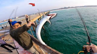 This Florida Fishing Pier was On FIRE! *Fish Everywhere*