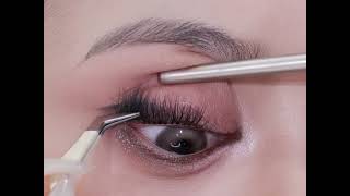 Eyeshadow, Lashes & Brow Hack — Flawless Fast