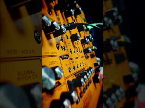 Fusebox X Synthesizer | Spotlighting the Interval Generator #short