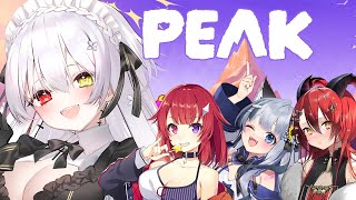 山登りするらしいです│PEAK　#天使の記録簿