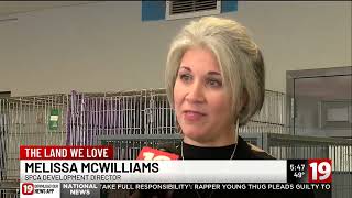 Northeast Ohio SPCA celebrates 20 years