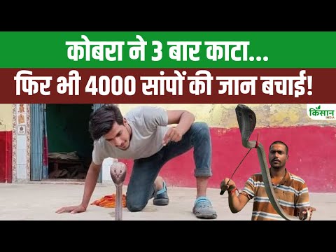मिलिए Snakeman से जाने कैसे बचाई 4 हजार सांपों की ज़िंदगी । Kisan India