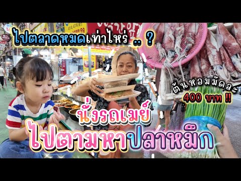 นั่งรถเมย์ไปตามหาปลาหมึก…ว่าแต่ไปตลาดพวกเราหมดไปเท่าไหร่Ep.4