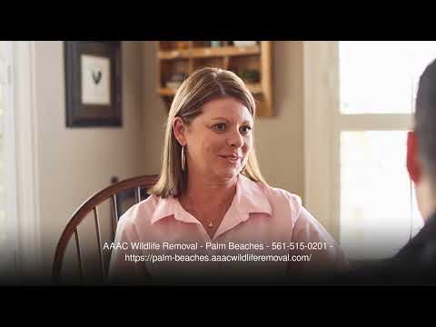 AAAC Wildlife Removal - Palm Beaches - Raccoon Exterminator Riviera Beach