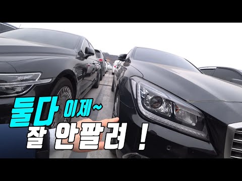 구형G80, G90은 K카 경매장에서 인기가 똑하고 떨어졌어요 정말 이런차는 신차효과가 크네요