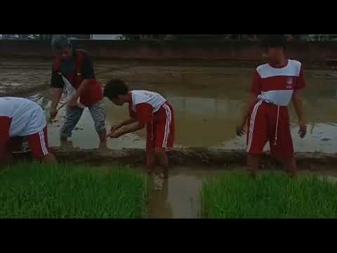 SAWAH EDUKASI 2022