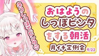 【#朝活 】3 ヶ月ぶりしっぽビンタ！！122人と挨拶したい！✨初見・ROMさんも大歓迎まってるよ～～【 #morningstream #v