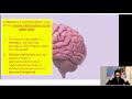 Understanding Sensory Pathways and Receptors