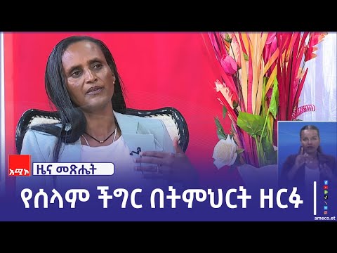 "በአማራ ክልል በተከሰተው ግጭት ምክንያት 2 ነጥብ 6 ሚሊዮን ተማሪዎች ብቻ እየተማሩ ነው" ዶክተር ሙሉነሽ ደሴ