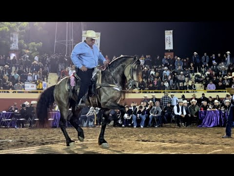 ⭐️FERIA GANADERA CULIACÁN 👉🏻 caballos bailadores 🦌CUADRA EL VENADILLO