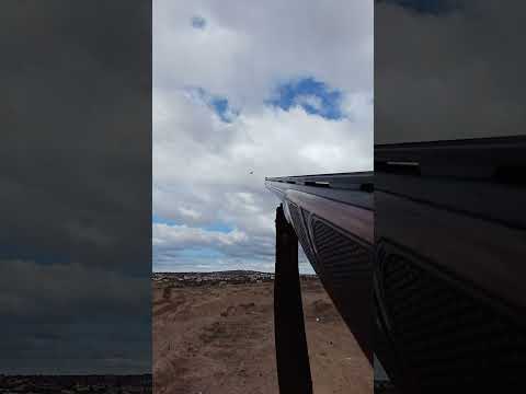 صيد ورور بالرفيع👍👍