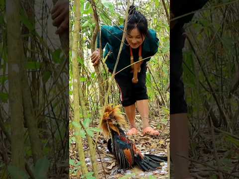 Catch chickens with an ancient trap ep185