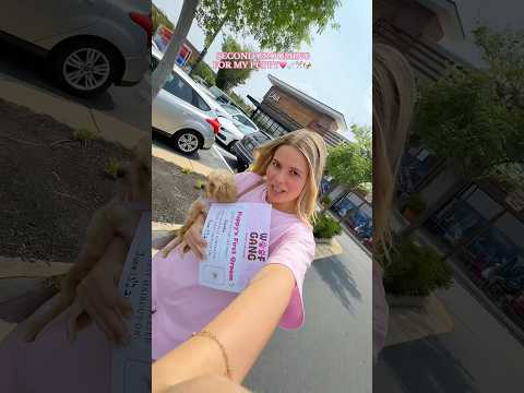 soooo IS THIS PLACE BETTER?💗🐶🦴 #doggrooming #vlog #dogmom #mom #comewithme #newpuppy