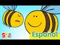 Comprensión de la Colmena y el Vuelo de las Abejas