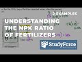 Understanding NPK Ratios and Fertilizers