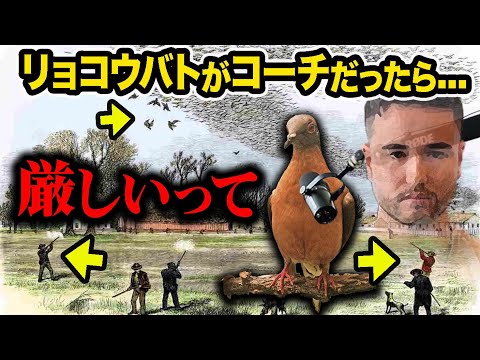 リョコウバトが語る絶滅した衝撃の理由...厳しいって！危機感持った方がいい！ メンズコーチ ジョージ風