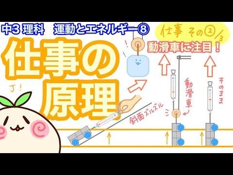 【中3理科p8】仕事の原理！動滑車とか使ってみよう！【仕事その２】