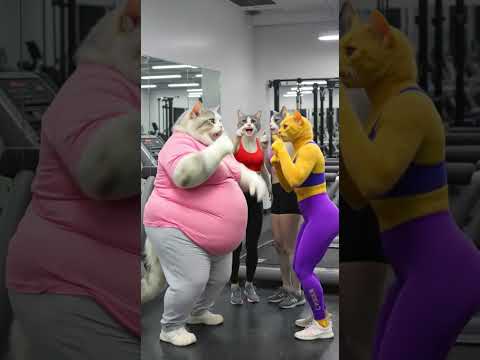 اتنمروا علي القطة مياوعلشان تخينة😭 مش هتتوقع رد فعلها 😱#ai #cat #funny #shorts
