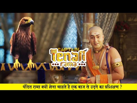 पंडित रामा क्यों लेना चाहते है एक बाज से उड़ने का प्रशिक्षण ? Tenali Rama - Ep - 706 | Full Episode
