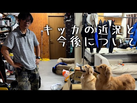 キッカの近況と今後について