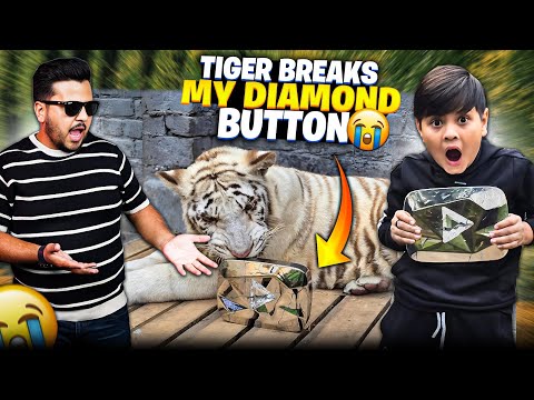 White Tiger Ny Diamond Play Button Tor Dia 😭 | Need Diamond Button Again 😩 | Nouman Hassan