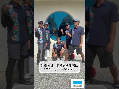 沖縄の海洋博公園で開催中の『カリータイム』：イルカショーと熱中症対策を詳しく解説 サムネイル