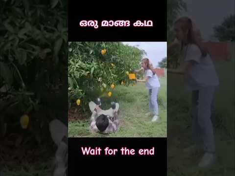 ഒരു മാങ്ങാ കഥ |ve world |malayalam explantion |#shorts #video #motivation #malayalam