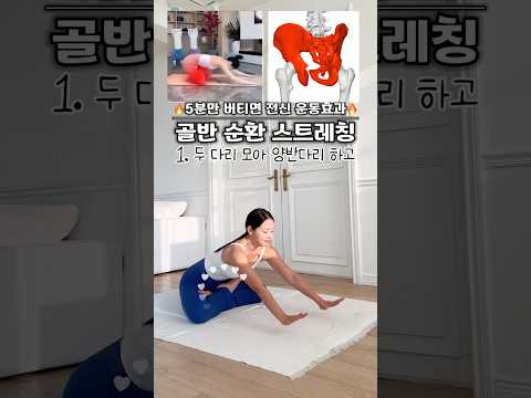 와..이동작으로 5분 버티기 가능…?5분만 버텨도 전신운동 효과를 본다는고관절 스트레칭.. #workout #스트레칭