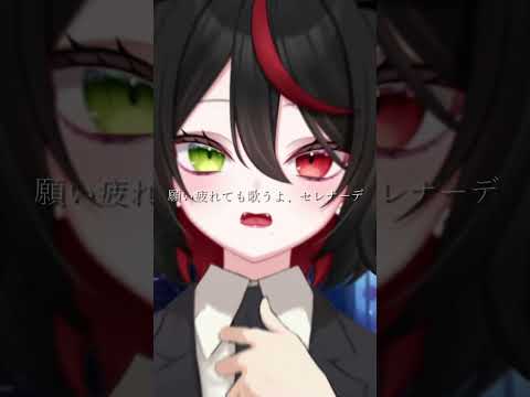 セレナーデ / なとり【cover 黒城乃オルカ】#歌ってみた #新人Vtuber