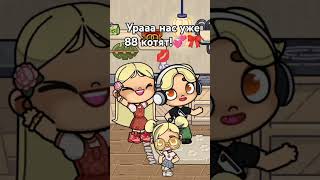На уже 88 котиков!🌺🎀💋💕