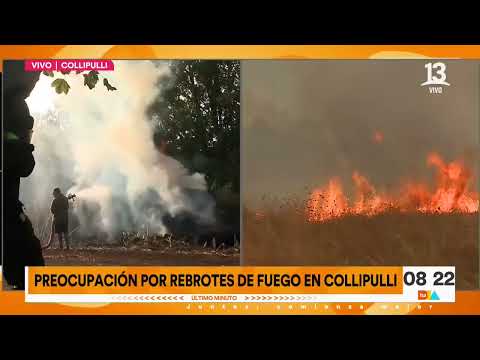 Continúa el combate de incendios forestales en la Región de la Araucanía | Tu Día | Canal 13