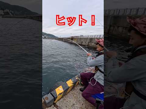 熱海 釣り🎣良型のメジナ#釣り#fishing#japan#大魚#熱海#海#海釣り#釣り好き#魚#魚釣り#メジナ#日本#猫好き