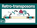 Retrotransposons and Their Functions