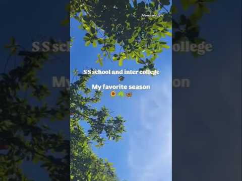 warafana laka zikrak💫#viralvideo 🔥 #viralshorts #islamicquotes_p4y#teachershorts#youtubeshort