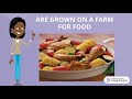 Importance of Agriculture and Its Benefits