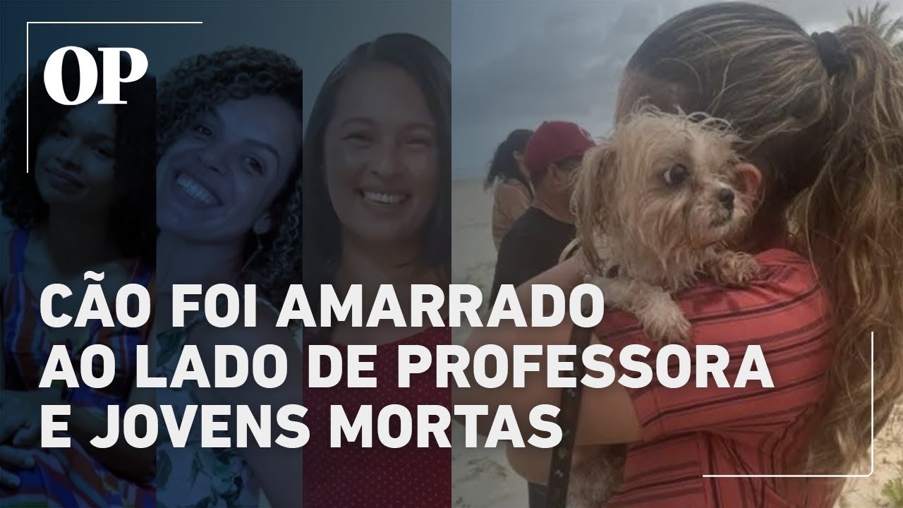 Cachorrinho foi amarrado ao lado de mãe filha e amiga mortas em destino turístico