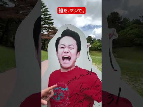 やめてください