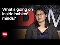 Understanding Babies' Perception of Danger
