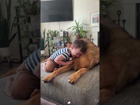 Phillies land All-Star closer Jhoan Duran ahead of MLB trade deadline 👀🔥 #JhoanDuran