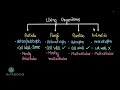 Classification of Living Organisms