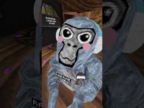 I’M IMPATIENT… #gorillatag #gtag #viral #subscribe